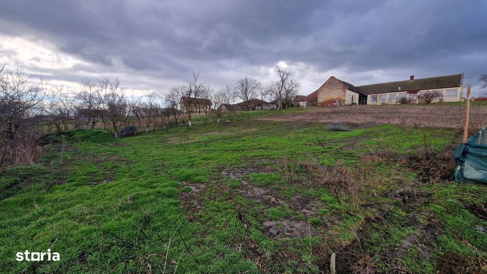 Teren de Vanzare 664 mp in Ianova Pret 42.900 Euro