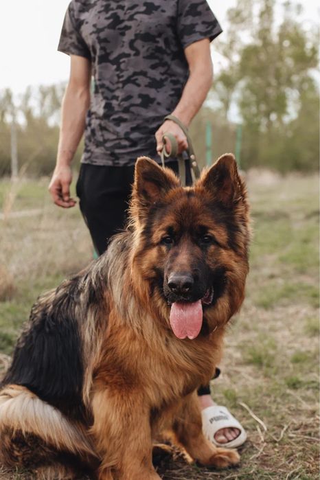 Предлагается к вязке