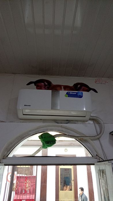 Sitronic 12 Sw kondissioner