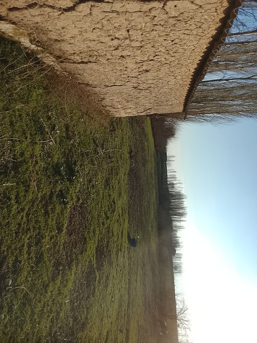 Срочна котта йеримиза сотувга чикди 51 сотих