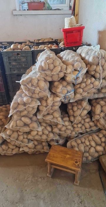 Cartofi albi direct din ferma