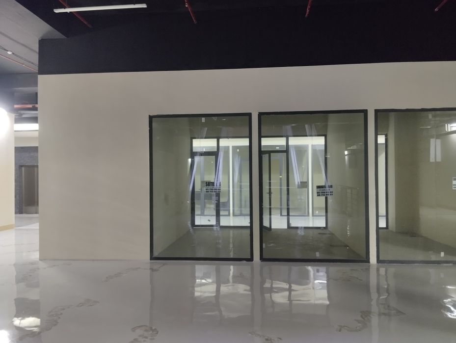 Строй Март Ибн Сино