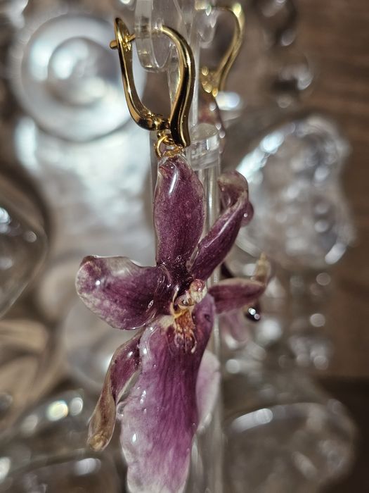 Обеци с естествен цвят на мини орхидея Miltonia.