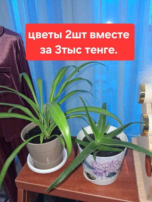 Срочно продам манекен