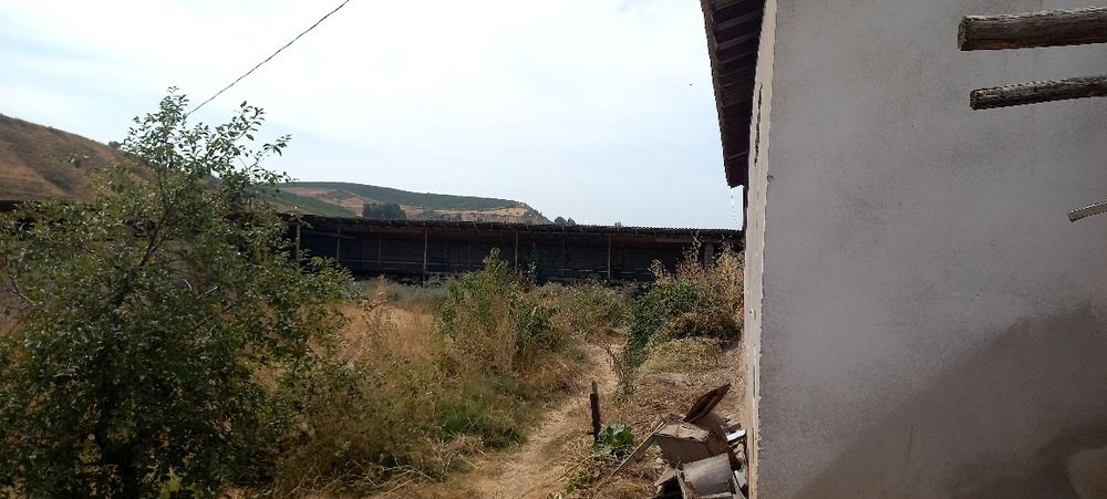 Ferma sotiladi .daca zona