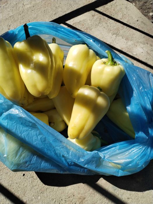 Ardei alb gras 6lei/kg