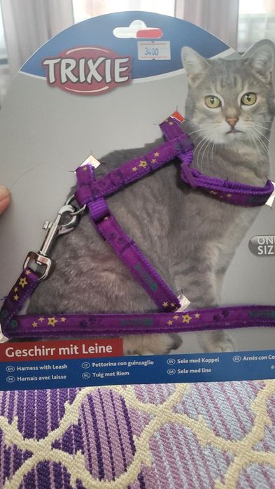 Поводок и ошейник для кота