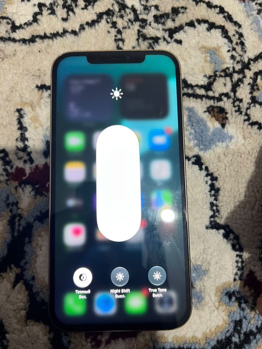 iPhone 12 Pro Max