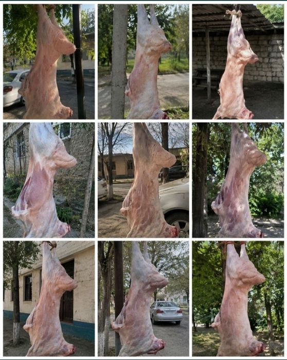 Quy suyish xizmati