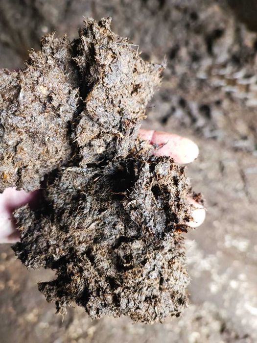 Покровная почва для шампиньонов