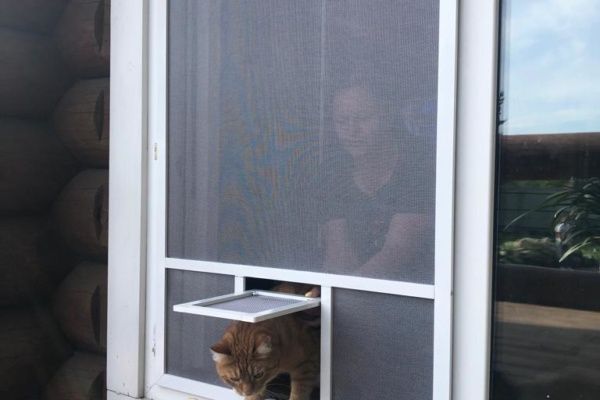 Антикошка москитные сетки!