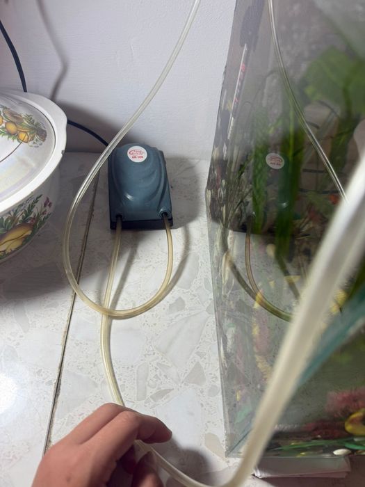 Аквариум с рыбками