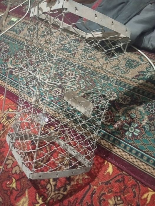 Уловная сетка по 500 тенге