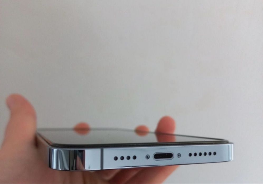 Iphone 13 promax