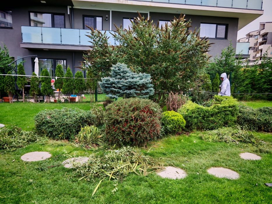 Întreținere grădini  și amenajare spatii sisteme de irigare  automate