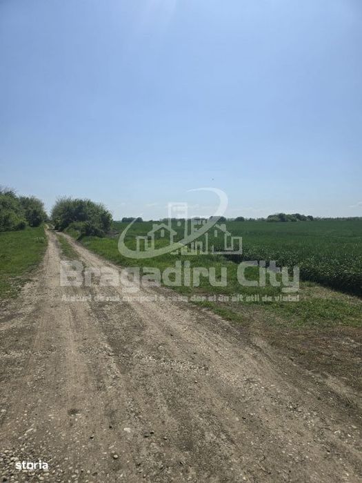 Teren ideal investitie Cornetu granita cu Clinceni