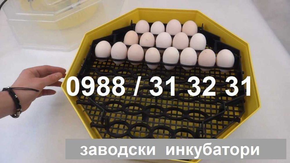 Инкубатори КЛЕО 5, инкубатори за яйца, официален вносител!