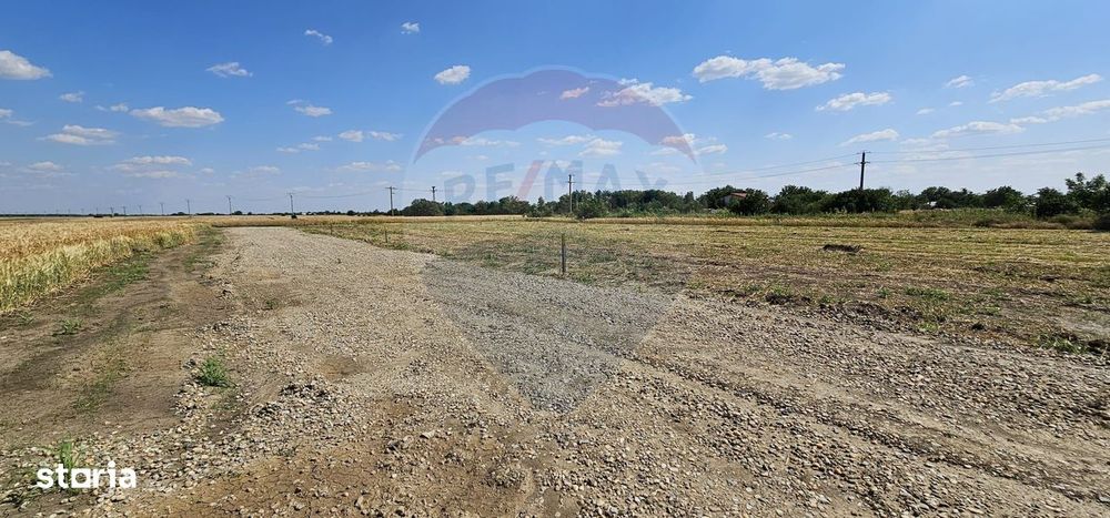 Terenuri intravilane Frumușani – Preț excelent, investiție sigură!