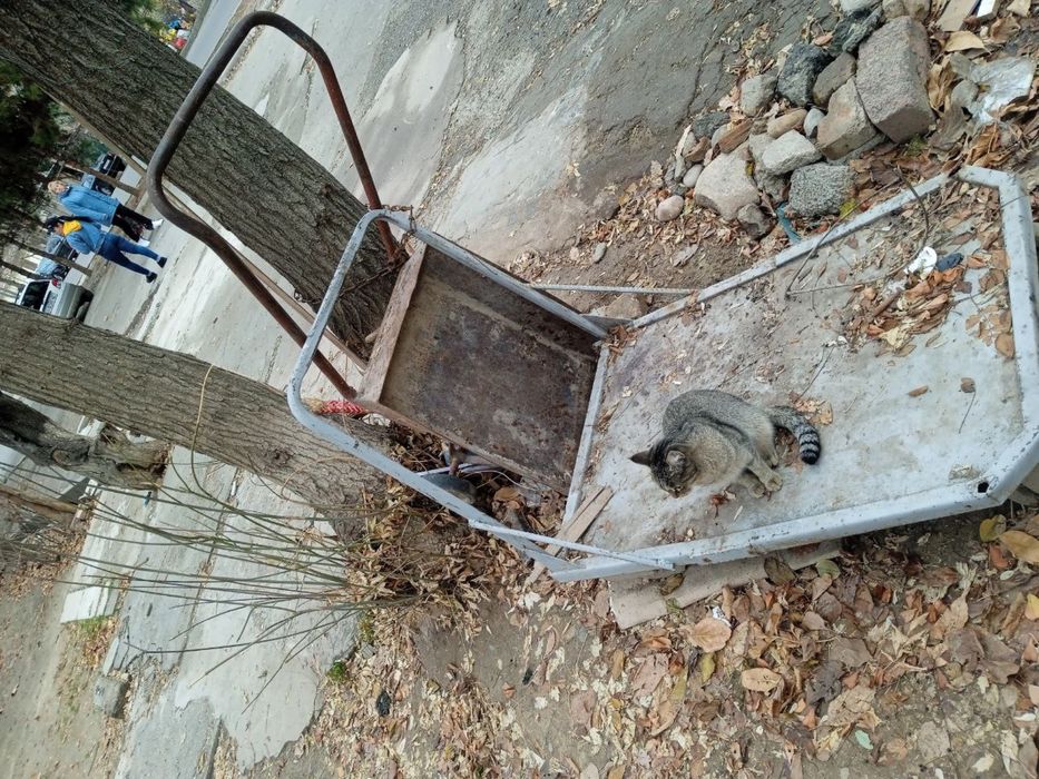 Металлалом темилар сотилади