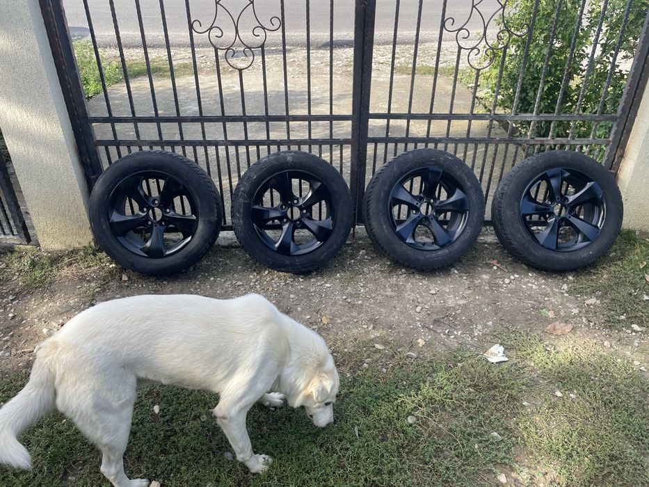jante bmw de iarna 16 inch