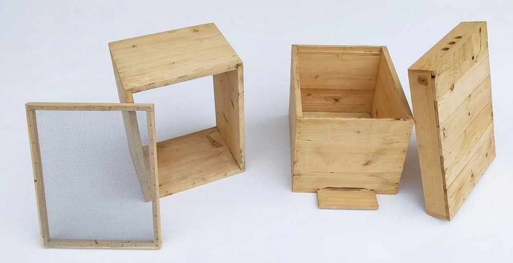 lazi albine noi din lemn rasinoase