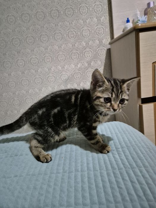Одам за хороший  руки