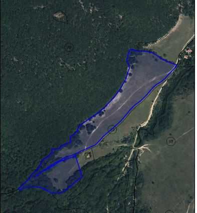 Уникален масив 63 дка с ПАРТИДА ЗА ТОК с. Горно Камарци за инвестиция