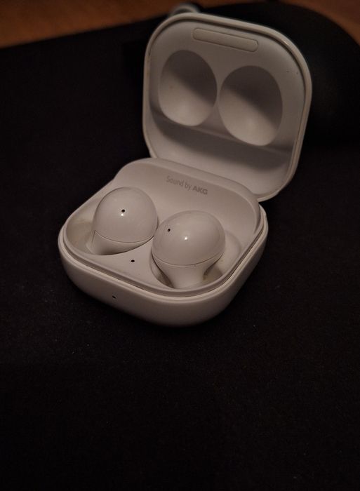 Samsung Galaxy Buds 2 (Оригинал) / Кейс + Наушники