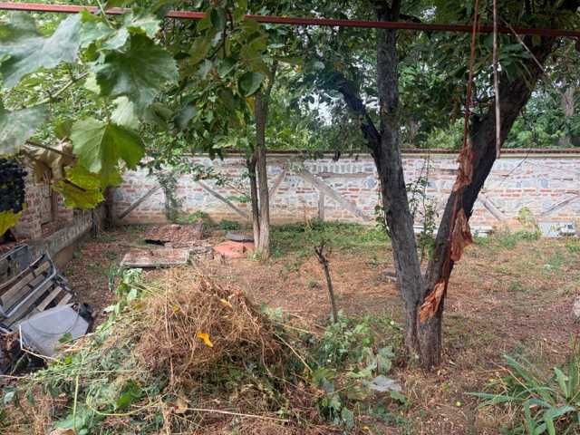 Casă cu curte generoasă (3.000 mp) — Ciorogârla, Ilfov