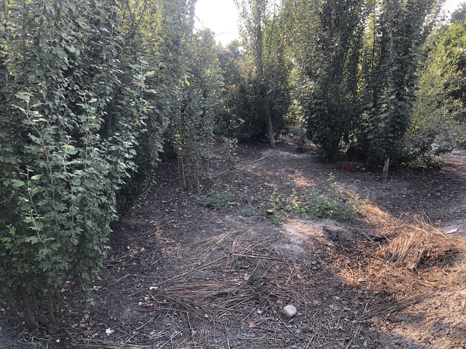 ARZON NARH Hovli joy quruq yer bahosida