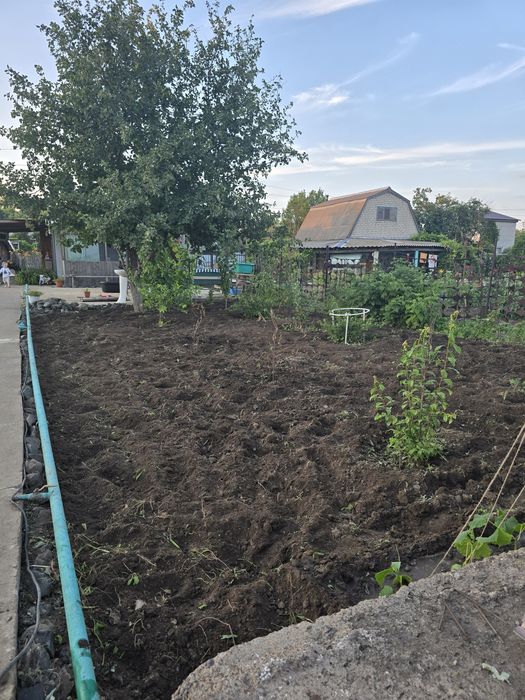 Продам дачу Телецентр Вишенка-3, 6 соток