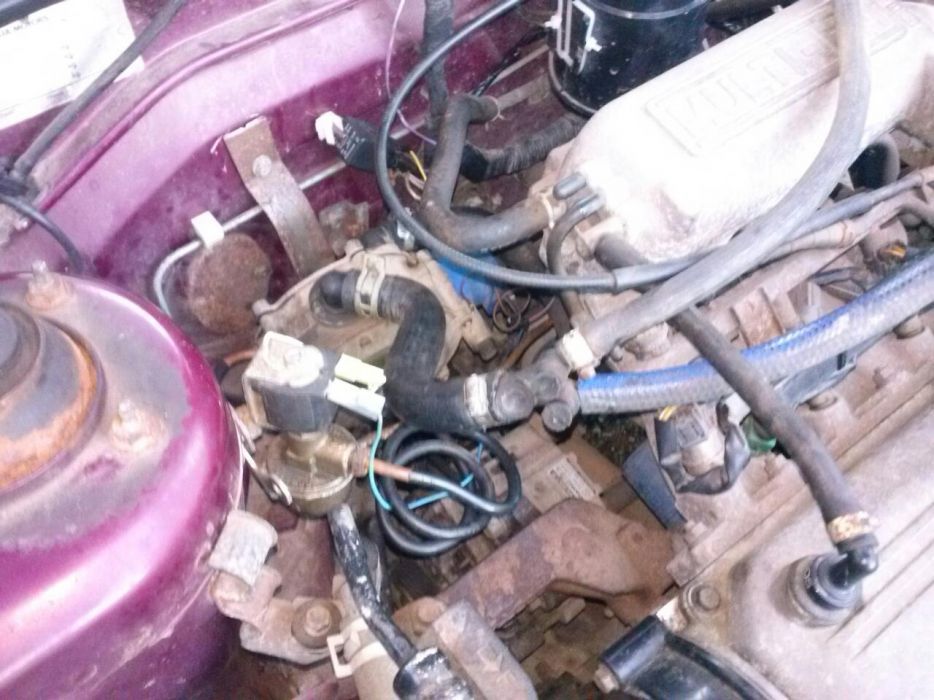 Кия сепия на части