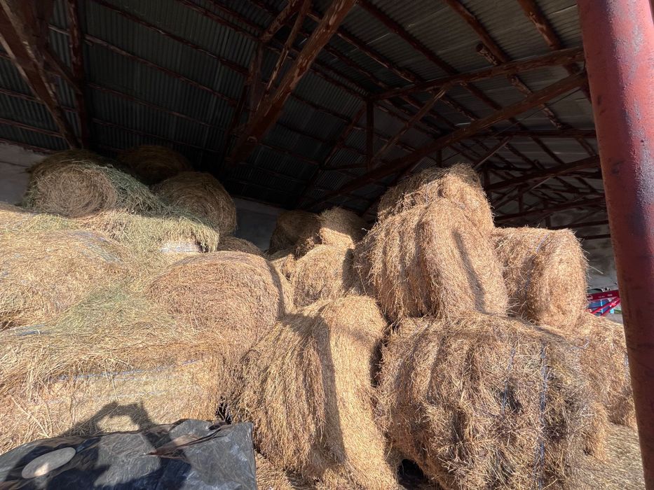 Продавам Бали люцерна