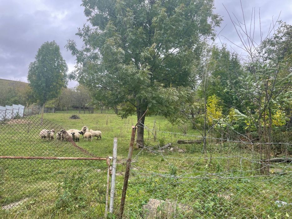 Teren intravilan 1.608 mp Mărtinești – lac în față