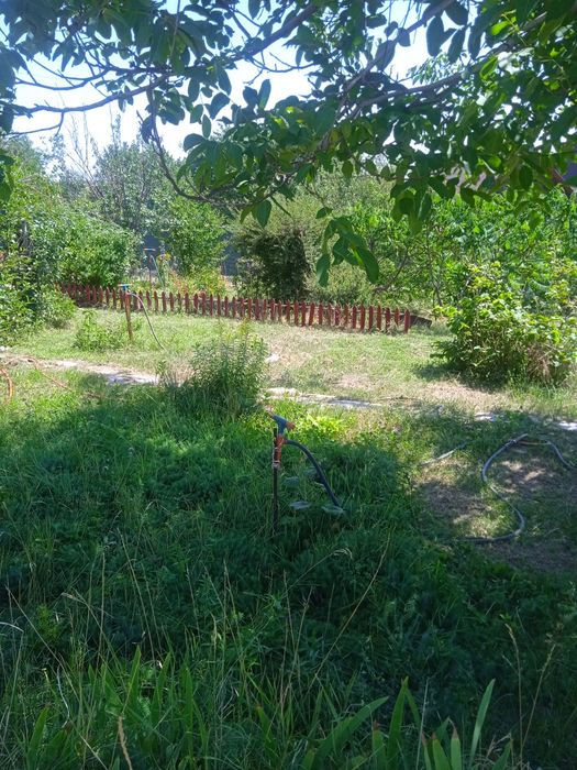 Продам дачу, за  п.Турар,Алматинская область