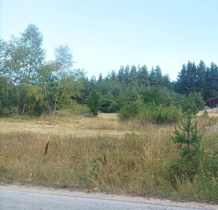 Продава се Парцел в Батак - 1993 кв.м за 21 €/кв.м - Снимка #1