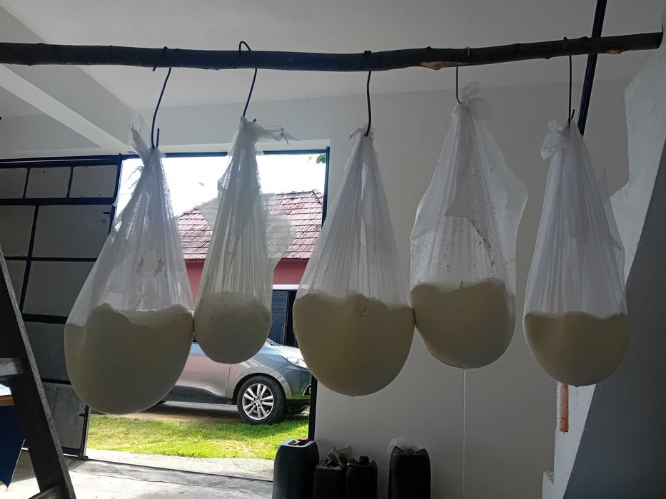 Brânză de capră / caș / urdă