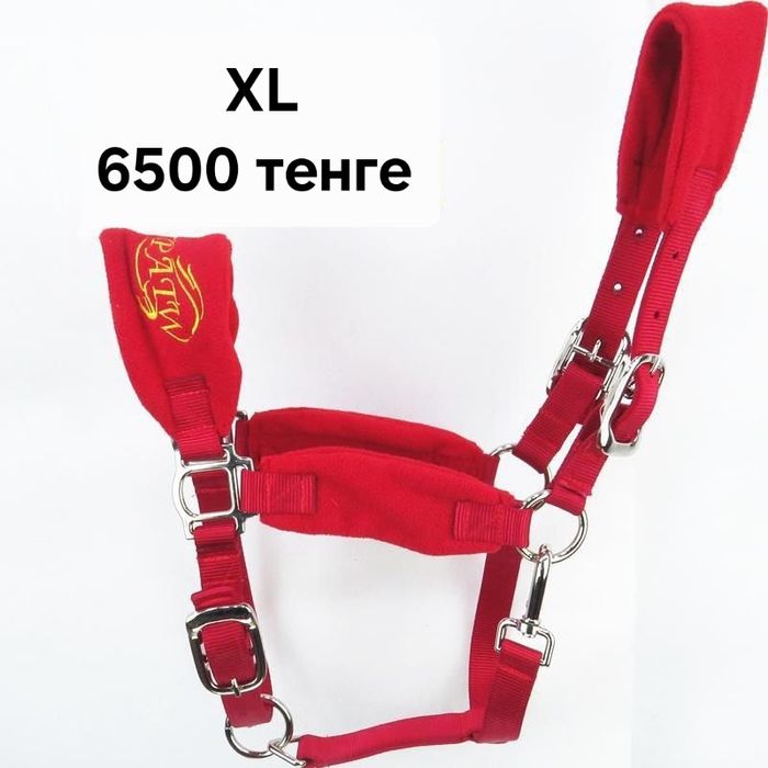 Недоуздок,  нокта