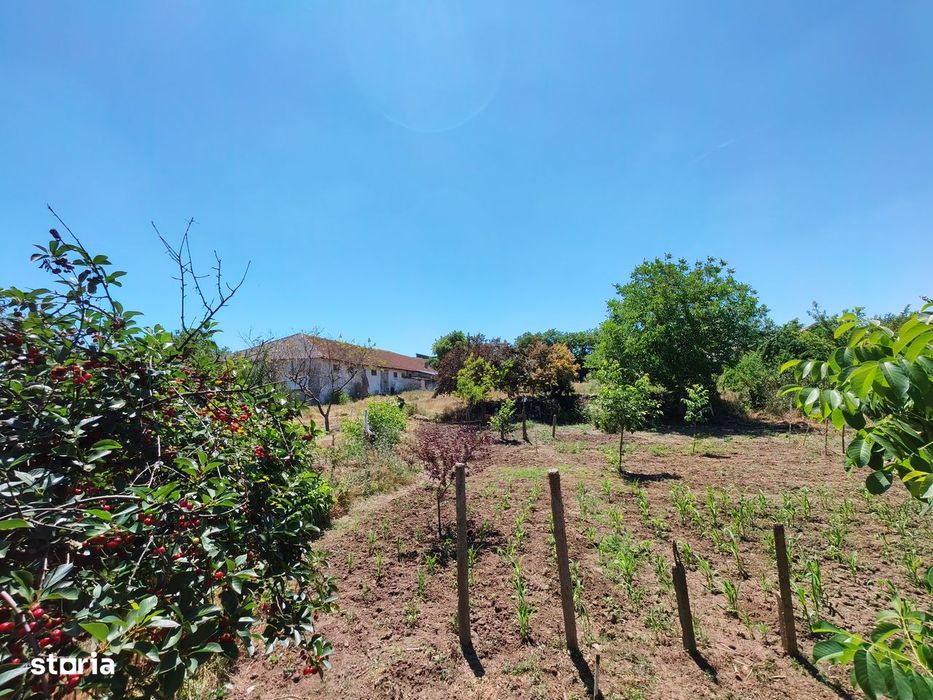 Comision0%-AlmanImobiliare-Oportunitate-TerenIntravilan-ValuLuiTraian