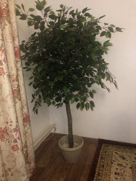 Искусственное дерево