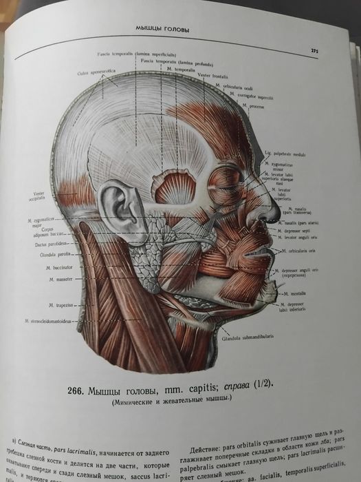 Атлас анатомии человека. Том 1-3
Р. Д. Синельников