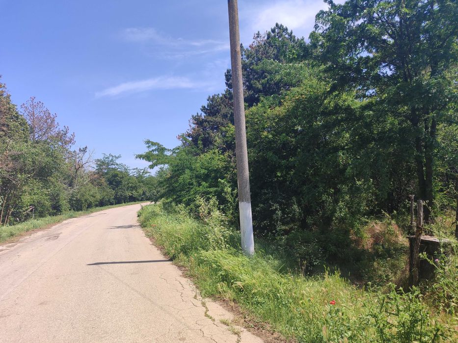 Продава се Парцел в с. Бежаново, Област Добрич - 1750 кв.м за 3 €/кв.м - Снимка #1