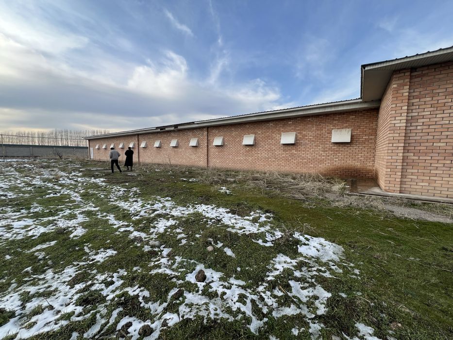 Tovuqxona va xizmat binolari