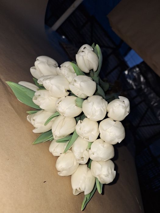 Тюльпаны оптом и в розницу на 8 марта