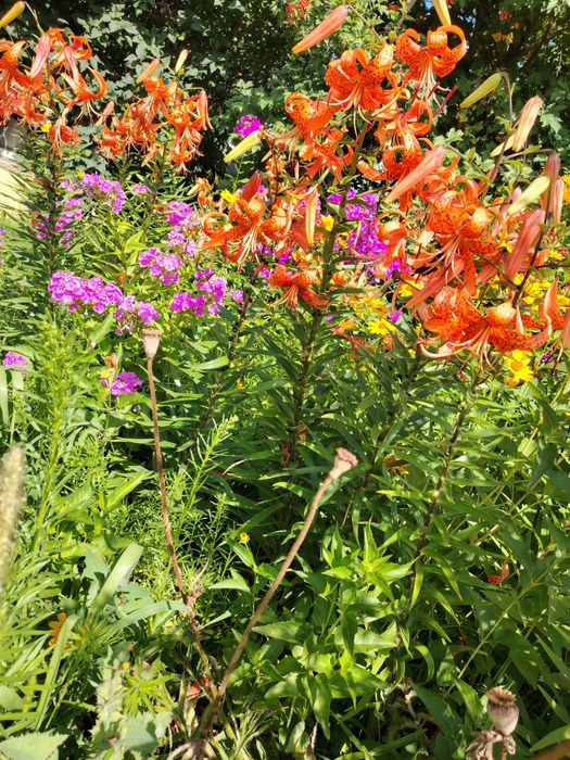 Продам дачу на массиве Солнечная долина