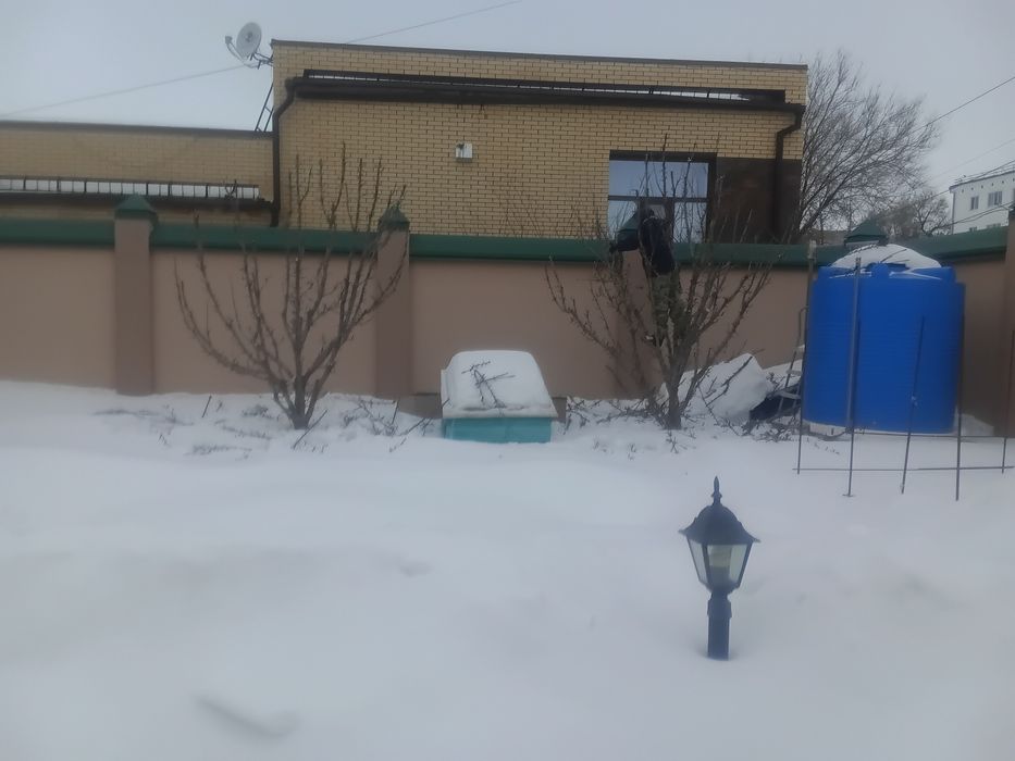 Обрезка деревьев