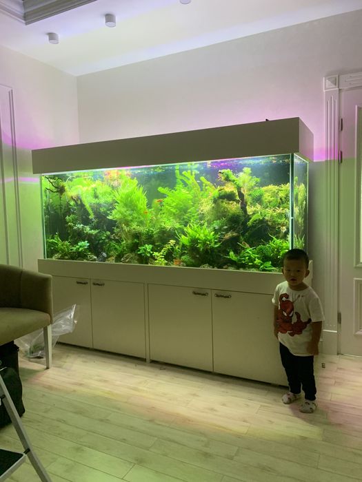 Дизайн аквариумов