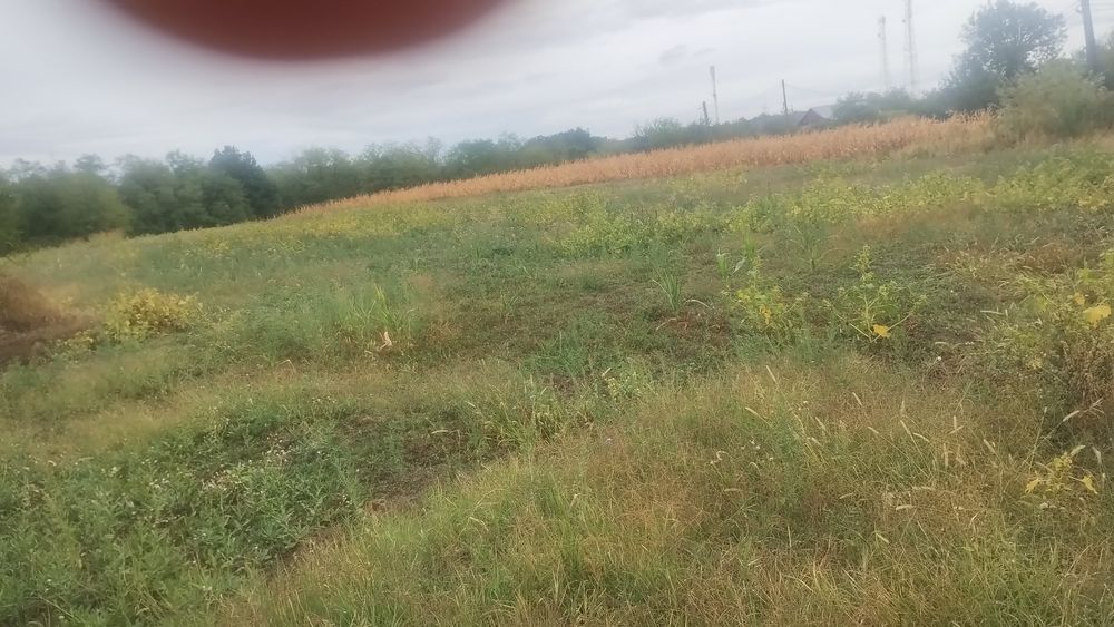 Vind 6700m teren intravilan