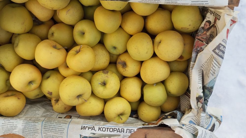 Американка, золотой привосходный