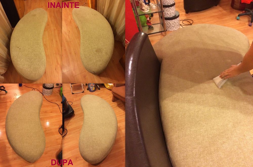 curator canapele și colțare